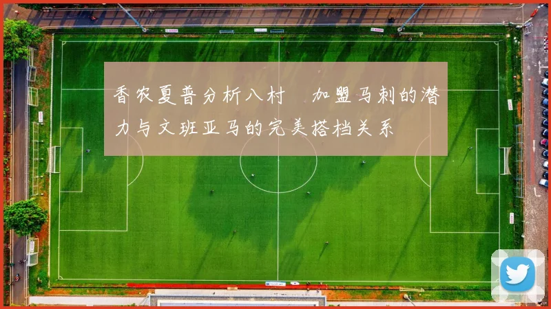 香农夏普分析八村塁加盟马刺的潜力与文班亚马的完美搭档关系