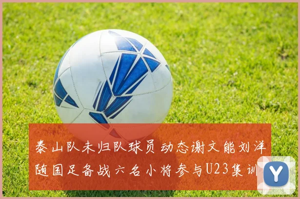 泰山队未归队球员动态谢文能刘洋随国足备战六名小将参与U23集训