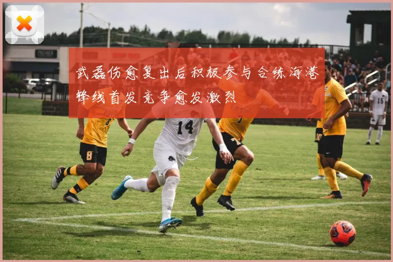 武磊伤愈复出后积极参与合练海港锋线首发竞争愈发激烈